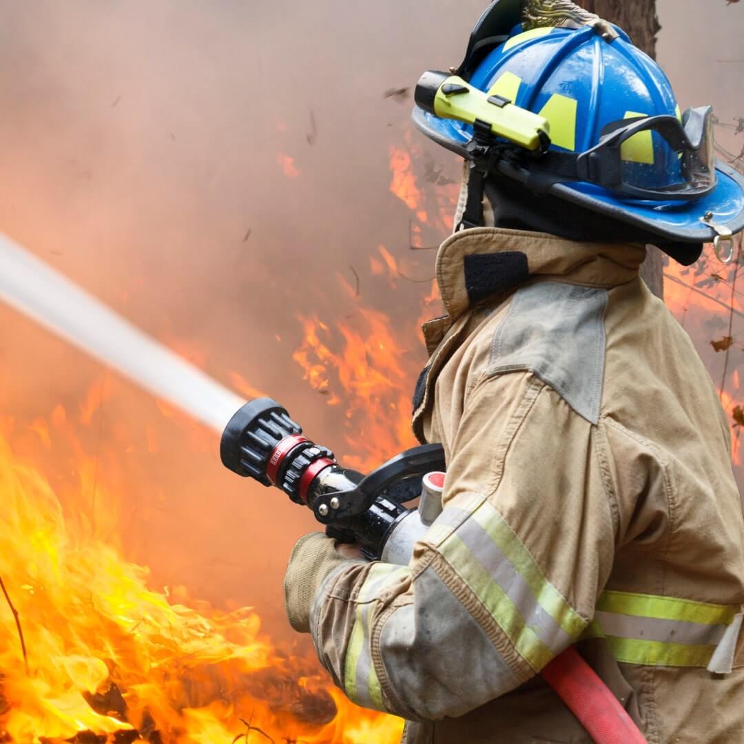 Water Damage and Mold Risks