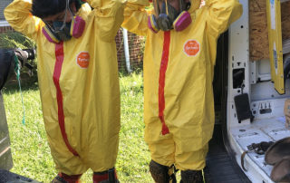 Mold Removal in Knoxville & East Tennessee — photo 2 of 4