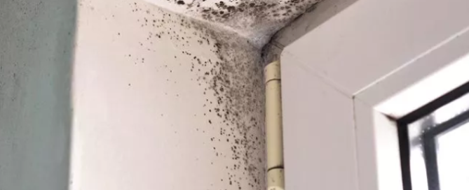 Sewage Cleanup in Knoxville & East Tennessee — photo 3 of 4