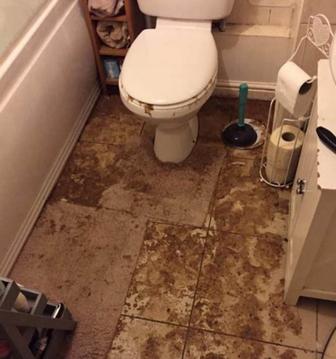 Toilet — photo 2 of 3